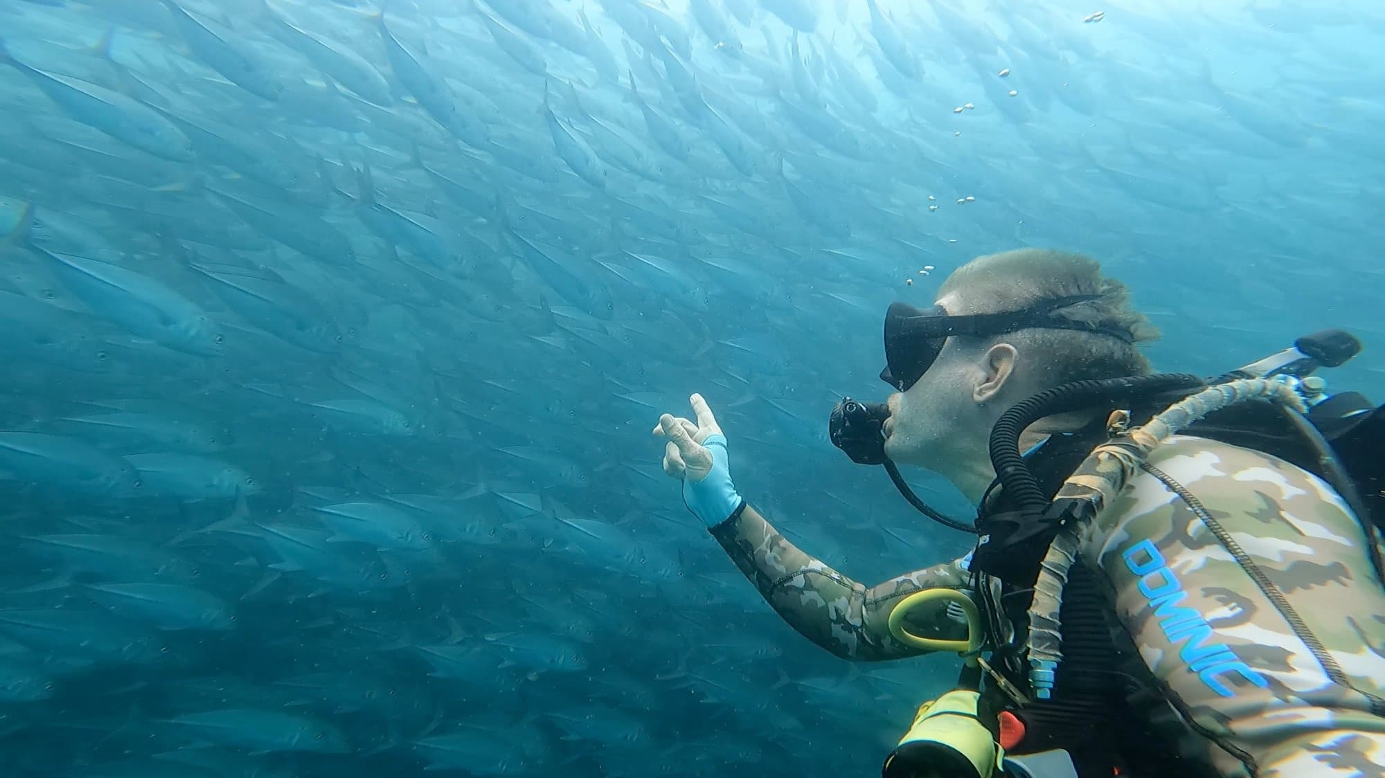 Dominic Frei diving with a massive school of fish in the Banda Sea, Indonesia